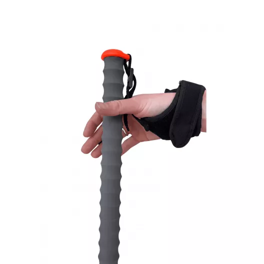 copy of Dragonnes Les...