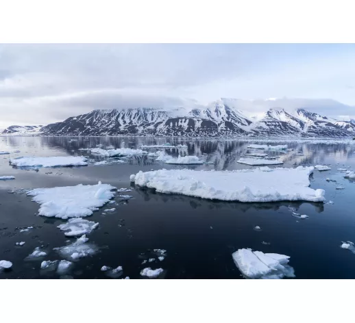 « An ArCtic Journey » , témoignage de Sébastien Overney